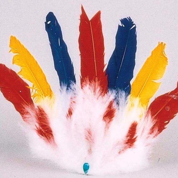 Colorful Indian 7 Feather Headdress    6-925