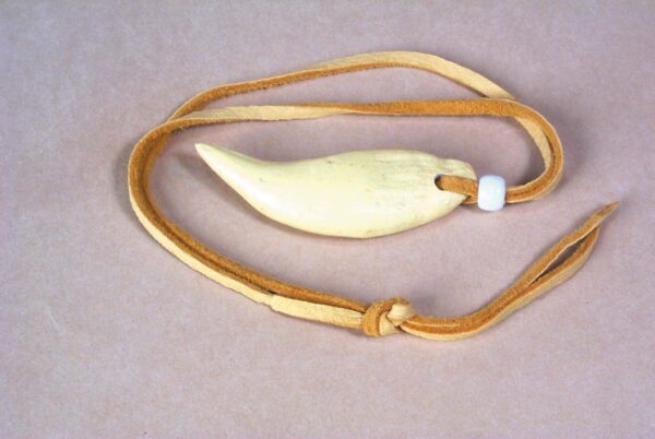 Bear Tooth Necklace   3-220