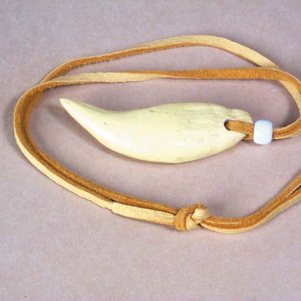 Bear Tooth Necklace   3-220