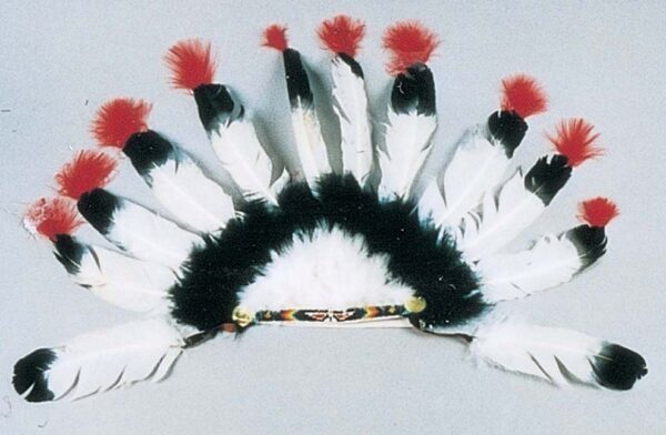 Eagle Feather Style Indian Headdress   6-9056