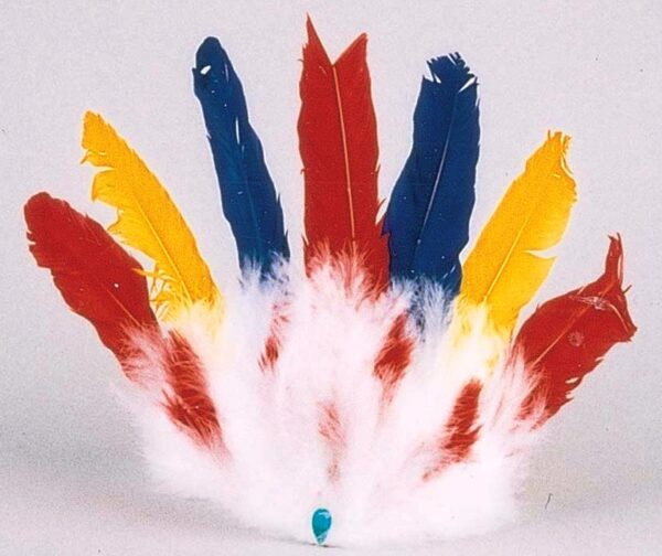 Colorful Indian 7 Feather Headdress    6-925